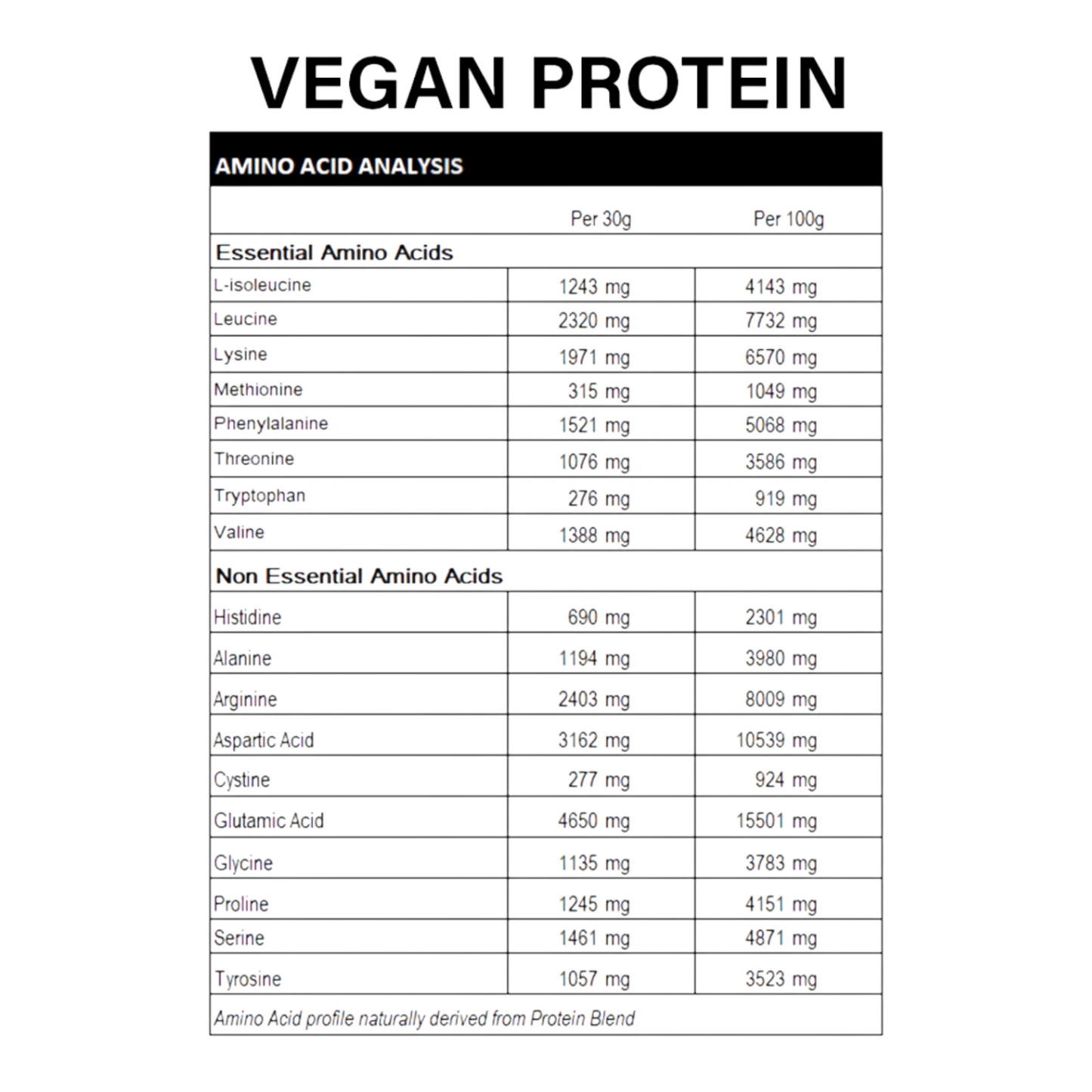 Rapid - Vegan Plant Protein