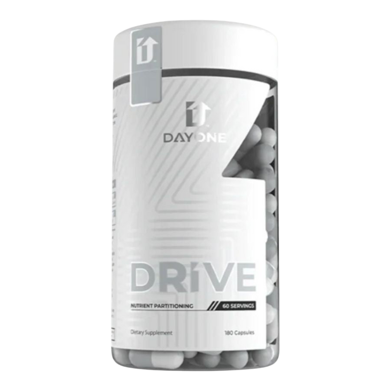 Day One - DR1VE